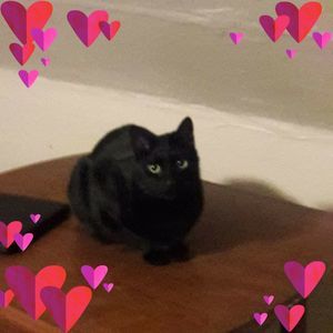 Meet your Posher, Sharon